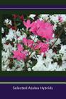 Selected Azalea Hybrids By Barbara S. Stump Cover Image