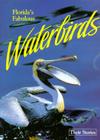 Florida's Fabulous Waterbirds: Their Stories Cover Image