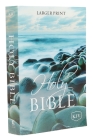 KJV, Holy Bible, Larger Print, Paperback Cover Image