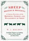 Sheep Breeds and Breeding - A Concise Overview of the Breeding, Feeding and Management of Sheep, Including Chapters on Lambing, Prices of Wool, Health Cover Image