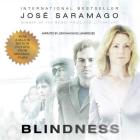 Blindness Lib/E By Jose Saramago, Giovanni Pontiero (Translator), Jonathan Davis (Read by) Cover Image