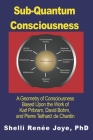 Sub-Quantum Consciousness: A Geometry of Consciousness Based Upon the Work of Karl Pribram, David Bohm, and Pierre Teilhard De Chardin Cover Image