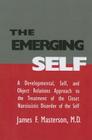 The Emerging Self: A Developmental, .Self, and Object Relatio: A Developmental Self & Object Relations Approach to the Treatment of the Closet Narciss Cover Image
