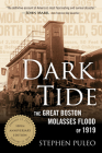 Dark Tide: The Great Boston Molasses Flood of 1919 Cover Image