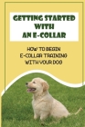 Getting Started With An E-Collar: How To Begin E-Collar Training With Your Dog: Are E Collars Good For Training Dogs Cover Image