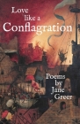 Love like a Conflagration Cover Image