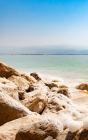 Notebook: Dead Sea Israel Cover Image