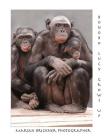 Bonobo Lucy Grows Up By Marian Brickner Cover Image