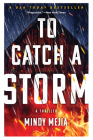 To Catch a Storm Cover Image