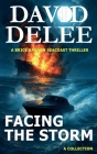 Facing the Storm By David Delee Cover Image