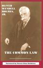 The Common Law By Steven Alan Childress (Introduction by), Steven Alan Childress (Editor), Jr. Holmes, Oliver Wendell Cover Image