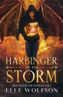 Harbinger of the Storm By Elle Wolfson Cover Image