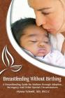 Breastfeeding Without Birthing: A Breastfeeding Guide for Mothers through Adoption, Surrogacy, and Other Special Circumstances By Alyssa Schnell Cover Image