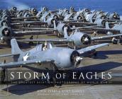 Storm of Eagles: The Greatest Aviation Photographs of World War II By John Dibbs, Kent Ramsey, Robert "Cricket" Renner Cover Image