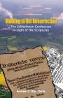 Walking in the Resurrection: The Schleitheim Confession in Light of the Scriptures By Andrew V. Ste Marie Cover Image