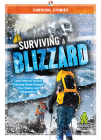 Surviving a Blizzard By Vicki C. Hayes Cover Image