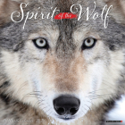 Spirit of the Wolf 2025 12 X 12 Wall Calendar By Willow Creek Press Cover Image