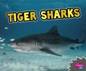 Tiger Sharks (All about Sharks) By Deborah Nuzzolo Cover Image