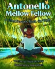 Antonello Mellow Fellow: A Breathwork Book for Kids By Paula Betancur, Paul Kellam (Illustrator) Cover Image