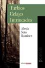 Turbios Celajes Intrincados By Alexis Soto Ramírez, José Antonio Michelena (Editor), Rafael Lago Serichev (Cover Design by) Cover Image