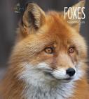 Foxes (Living Wild) By Melissa Gish Cover Image