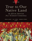 True to Our Native Land, Second Edition: An African American New Testament Commentary By Brian K. Blount (Editor), Gay L. Byron (Editor), Emerson B. Powery (Editor) Cover Image