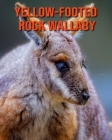 Yellow-Footed Rock Wallaby: Fun Learning Facts About Yellow-Footed Rock Wallaby By Sybil Edward Cover Image