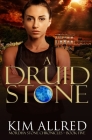 A Druid Stone: A Time Travel Romance Adventure Cover Image