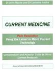 Current Medicine: Compendium and Pictorial Guide to Micro Current Protocols By Lorraine a. Vanbergen, John a. Hache Cover Image