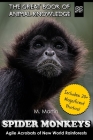Spider Monkeys: Agile Acrobats of New World Rainforests By M. Martin Cover Image