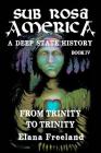 Sub Rosa America, Book IV: From Trinity To Trinity By Elana Freeland Cover Image