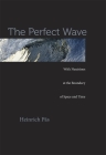 Perfect Wave: With Neutrinos at the Boundary of Space and Time By Heinrich Päs Cover Image