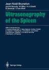 Ultrasonography of the Spleen By C. Anagnostoupoulos, Jean-Noel Bruneton, Nancy R. Rameau (Translator) Cover Image