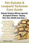 Pet Sulcata & Leopard Tortoises Care Guide Sulcata Tortoise (African Spurred) & Leopard Tortoise - Buying, Diet, Care, Health (and More...) Cover Image