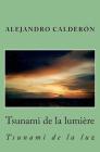 Tsunami de la lumiere: Tsunami de la luz By Alejandro Calderon Cover Image