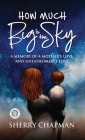 How Much Big Is the Sky: A Memoir of a Mother's Love and Unfathomable Loss Cover Image