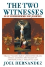 The Two Witnesses are God the Father and The Holy Spirit - Revelation 11: Biblical Treasures Buried Under Extra-Biblical Sources, Guesswork and Neglec By Joel Hernandez Cover Image