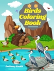 Birds Coloring Book: Beautiful Birds Designs Including: Parrot, Kingfisher, Hoopoe, Hummingbirds, Bat and Much More!! By Anthony Smith Cover Image