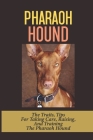 Pharaoh Hound: The Traits, Tips For Taking Care, Raising, And Training The Pharaoh Hound: Feeding Pharaoh Hounds By Carie Viramontes Cover Image