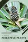 Pineapple Plants: Plant Guide By Andrey Lalko Cover Image