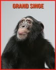 Grand Singe: Livre pour Enfants Images & Informations Etonnantes Concernant les Grand Singe By Sue Anthony Cover Image