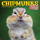 Chipmunks (Gone Nuts!) 2024 12 X 12 Wall Calendar By Willow Creek Press Cover Image