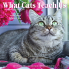 What Cats Teach Us 2025 7 X 7 Mini Wall Calendar By Willow Creek Press Cover Image