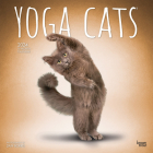 Yoga Cats 2024 Square By Browntrout (Created by) Cover Image