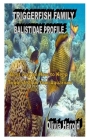 Triggerfish Family Balistidae Profile: Best way on How to Keep Triggerfish in Your Aquarium Cover Image