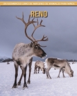 Reno: Un asombroso libro de imágenes de animales para niños By Martyna Castaldo Cover Image