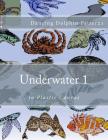 Underwater 1: in Plastic Canvas Cover Image