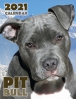 Pit Bull 2021 Calendar Cover Image