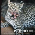 Predator: Life and Death in the African Bush By Mark C. Ross, David Reesor Cover Image