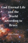 God Eternal Life and the World according to Bruce By Bruce Wayne Cover Image